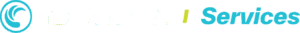 TD SYNNEX Services logo Sept 2025 blanco1-3